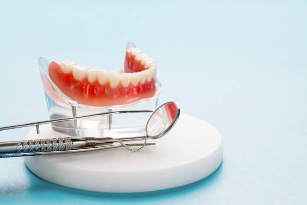 Best General Dentistry  in Trinity, FL