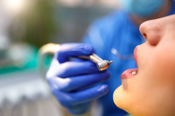Reliable Trinity, FL  Holistic Dental Services Solutions